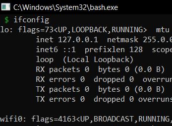Know your IP Address on Bash for Windows